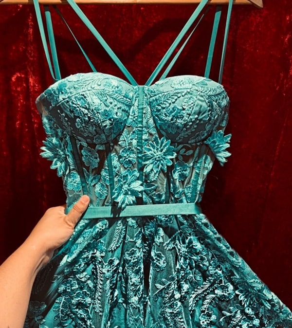 tiffany dress with 3D embroidery and structured bodice