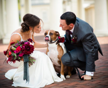 32 photos that prove your pet should be at