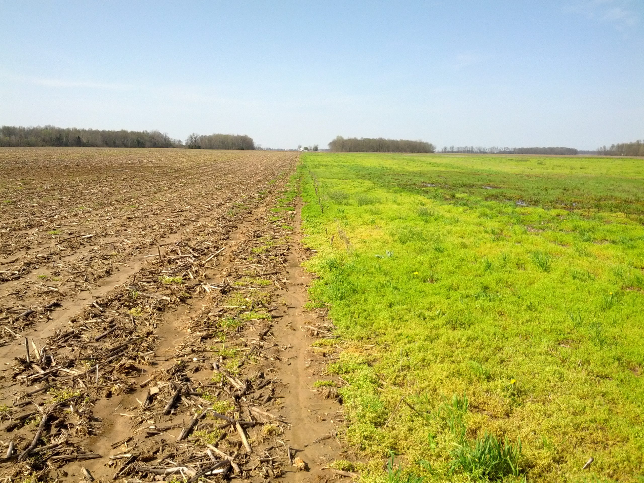 Are farmers good in bed?