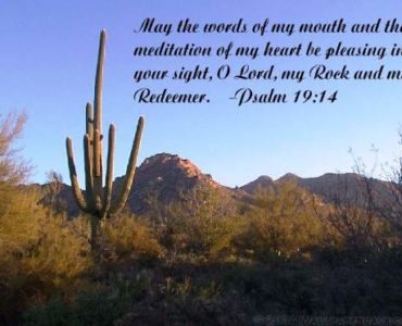 Are there any cuss words in the Bible?