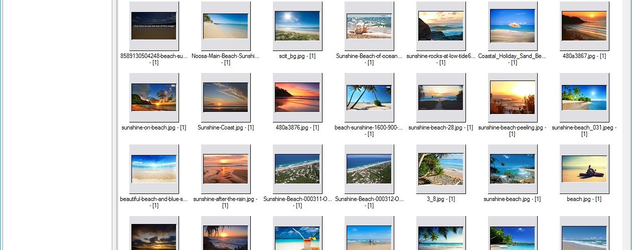 how to download all google drive photos at once