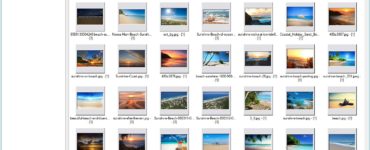 Can I download all Google Photos at once?