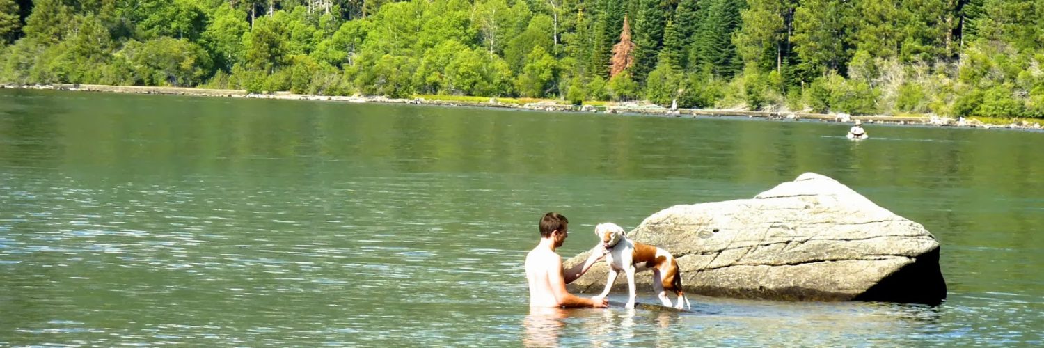 Can dogs swim at Lake Tahoe?