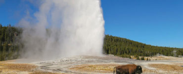 Can you drive your car through Yellowstone National Park?
