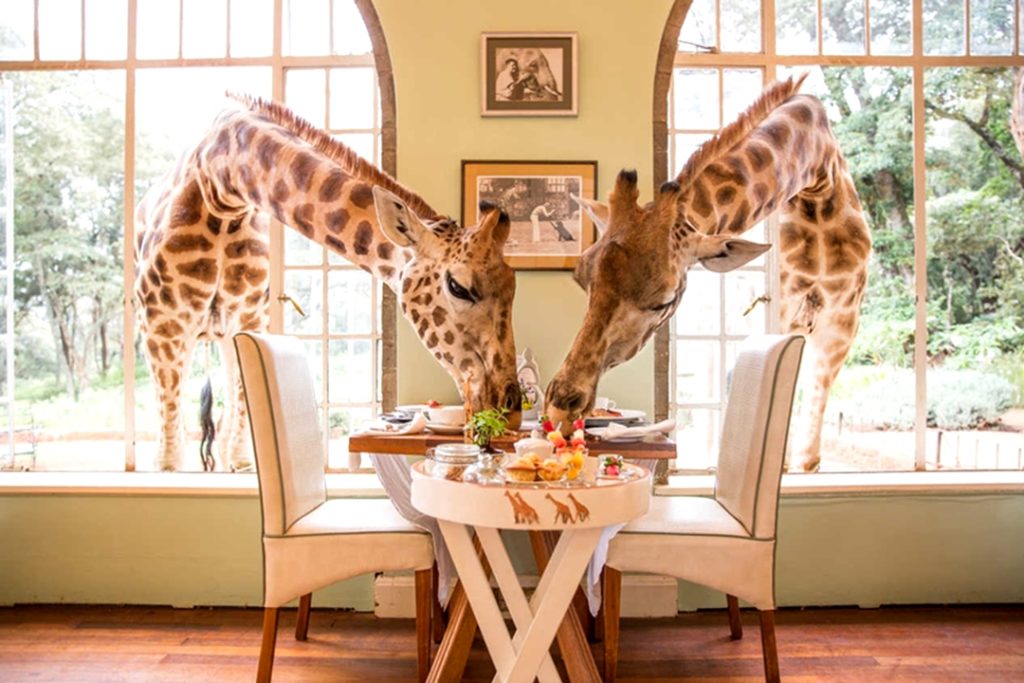 Can you eat at Giraffe Manor without staying there?