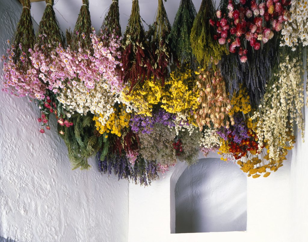 Can you keep dried flowers in the bathroom?