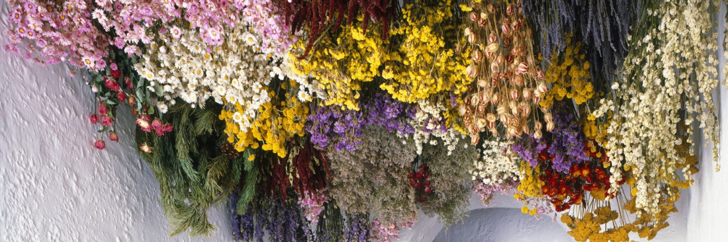 Can you keep dried flowers in the bathroom?
