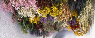 Can you keep dried flowers in the bathroom?
