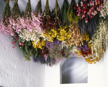 Can you keep dried flowers in the bathroom?
