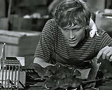 Did Michael Jackson have a rat named Ben?