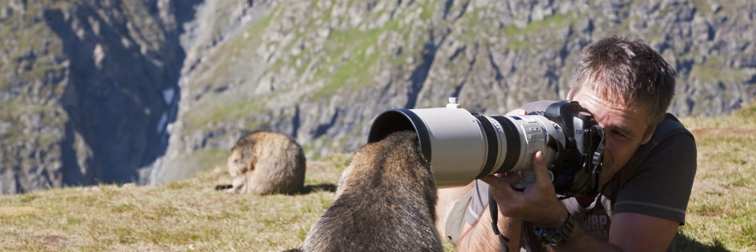 Do wildlife photographers go alone?