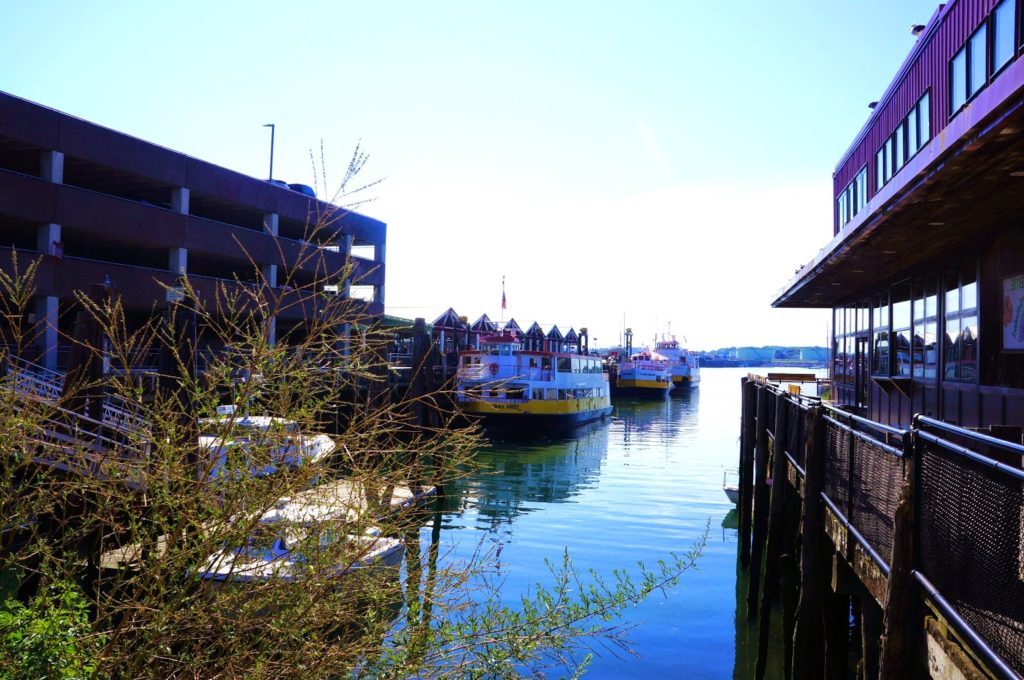 How Big Is Peaks Island Maine?