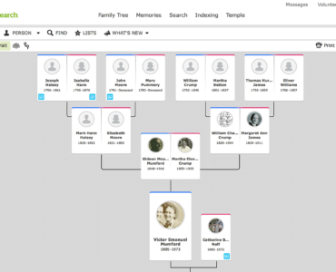 How can I find my family tree without paying UK?