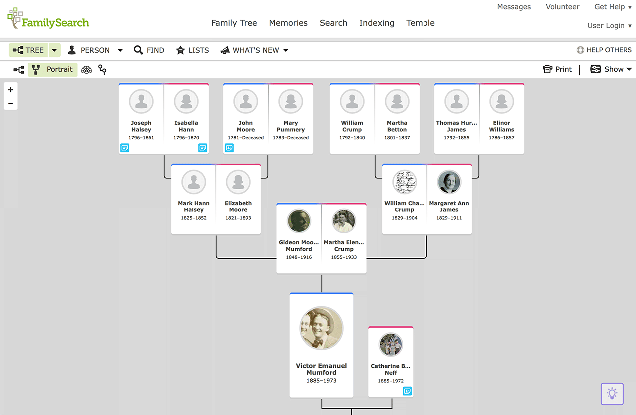 finding my family tree