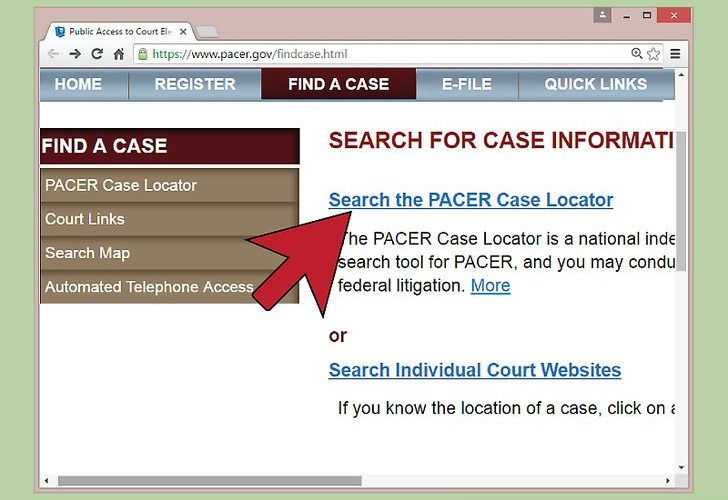 How Can I Look Up A Case