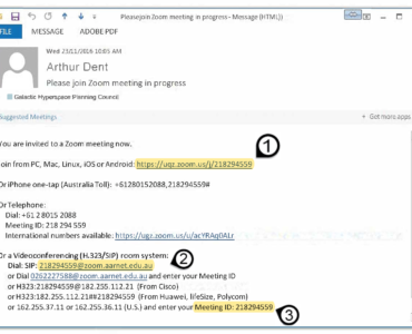 How do I zoom a link for a meeting?