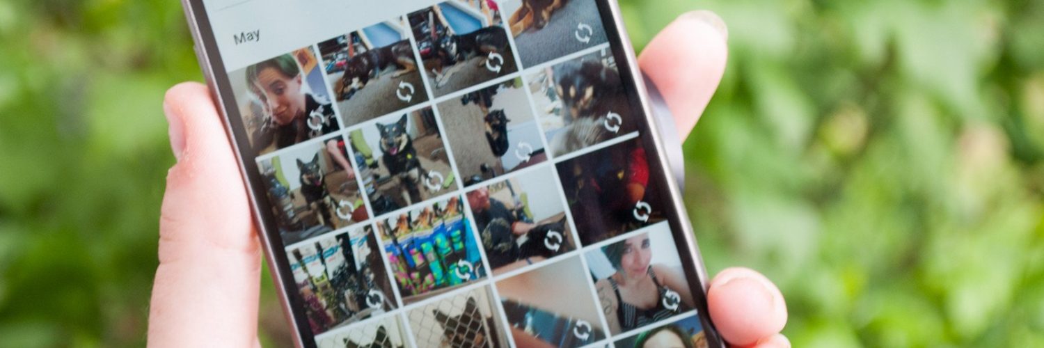 How do you Download all photos from Google Photos at once in Android?