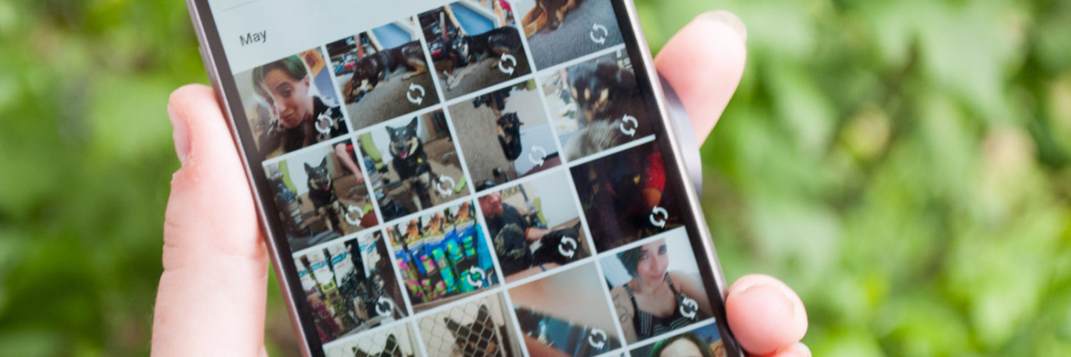 how-do-you-download-all-photos-from-google-photos-at-once-in-android