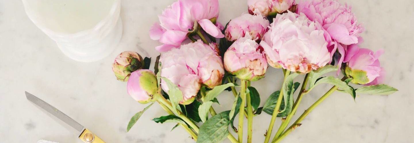How do you care for Trader Joe's peonies?