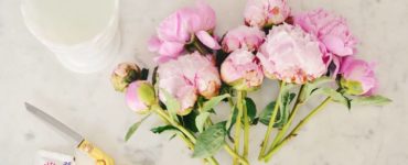 How do you care for Trader Joe's peonies?
