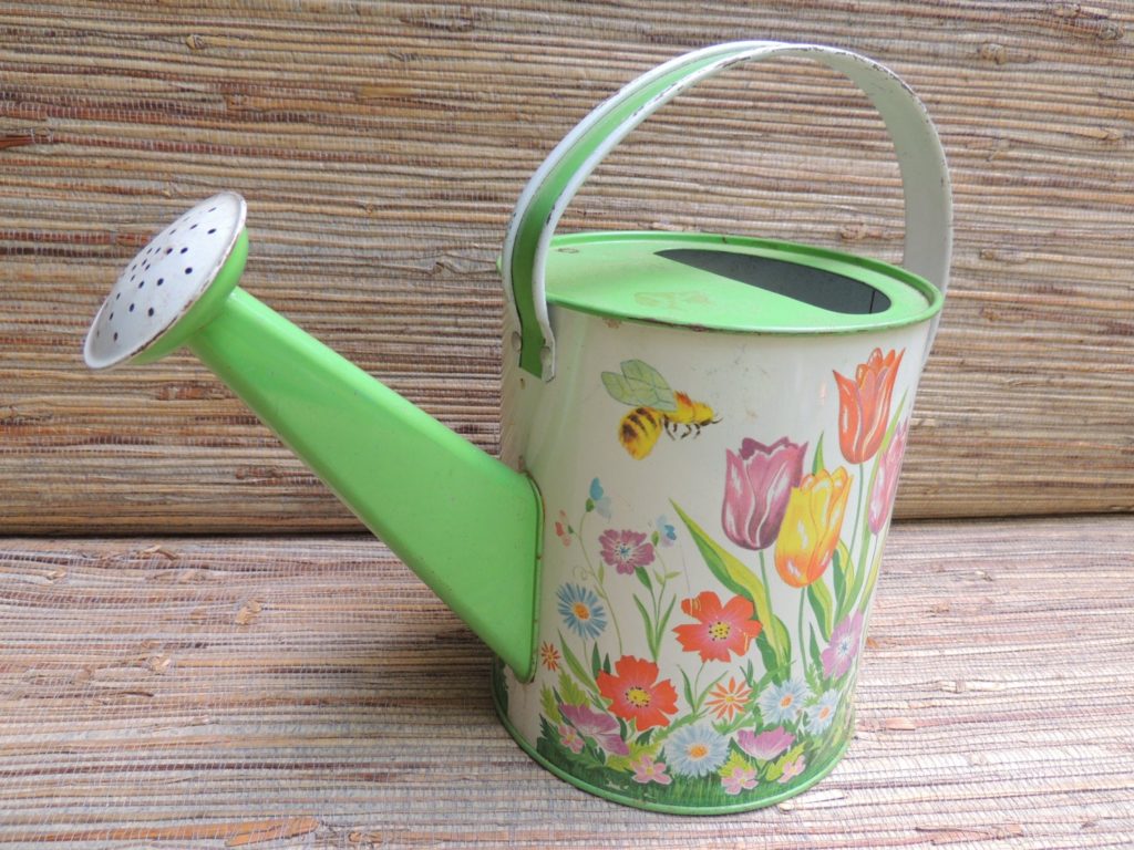 How do you clean a tin watering can?
