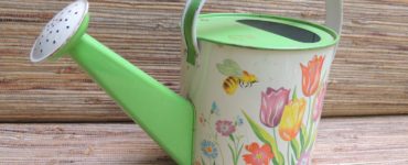 How do you clean a tin watering can?