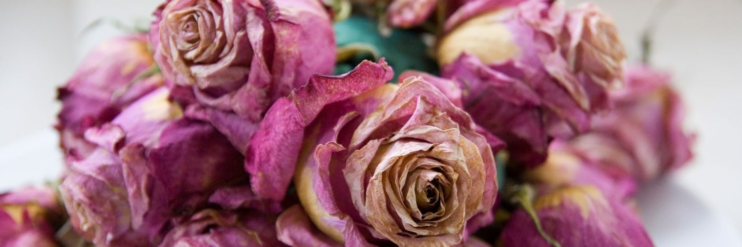 How do you dry and preserve flowers?