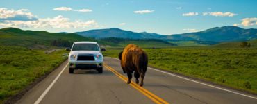 How long does it take to drive the loop in Yellowstone?