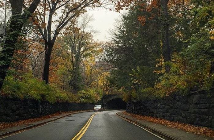 How long would it take to walk around Central Park?