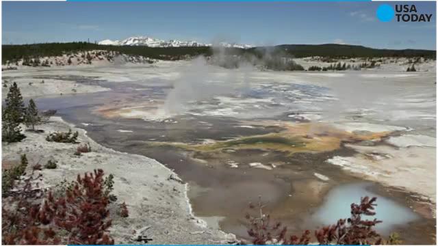 How many people have died at Yellowstone hot springs?