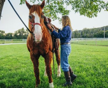 How much does Cvent cost?