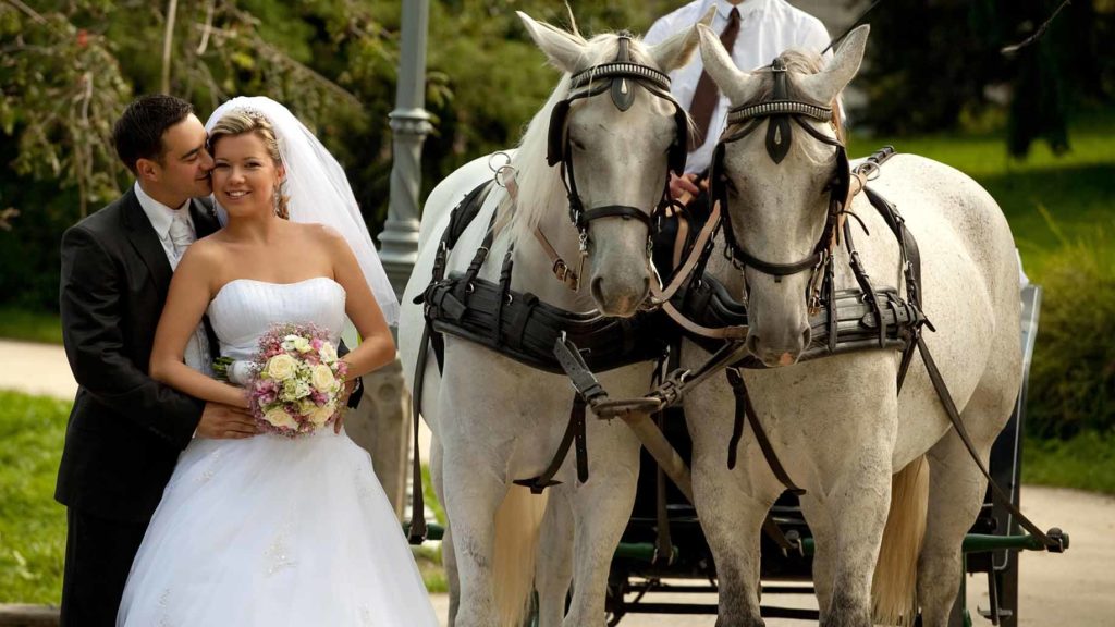 How much does a horse drawn carriage weigh?