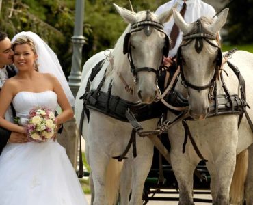 How much does a horse drawn carriage weigh?