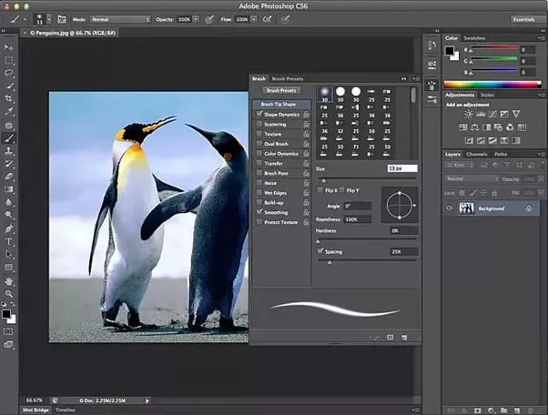 How much does photoshop cost?