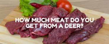 How much meat do you usually get from a deer?