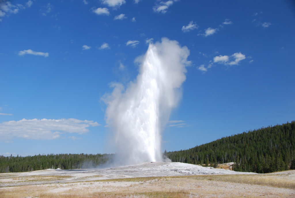 How often dies Old Faithful erupt?