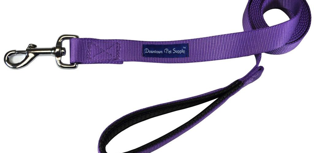 How strong should a dog leash be?