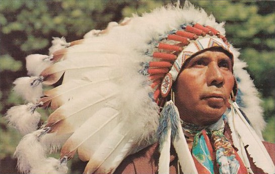Is Cherokee Indian?