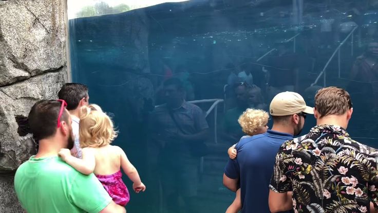 Is Mystic Aquarium worth the money?