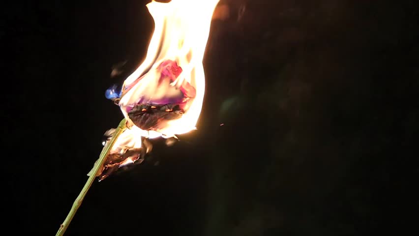 Is it bad to burn a rose?