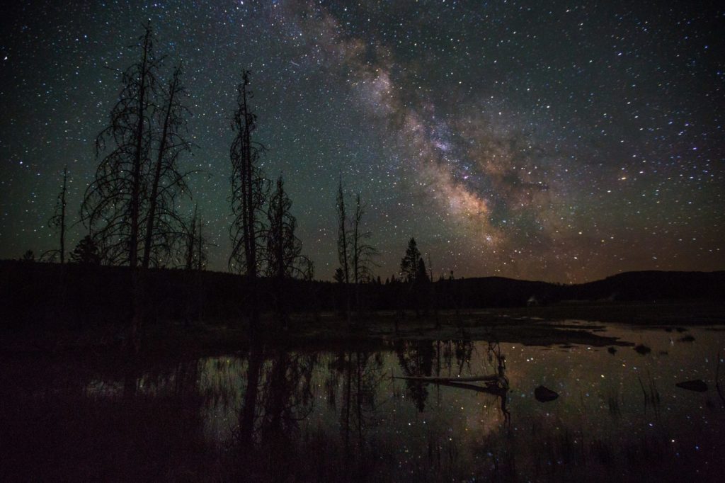 Is it safe to drive in Yellowstone at night?