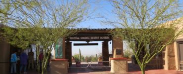 Is the Desert Museum in Tucson Arizona Open?