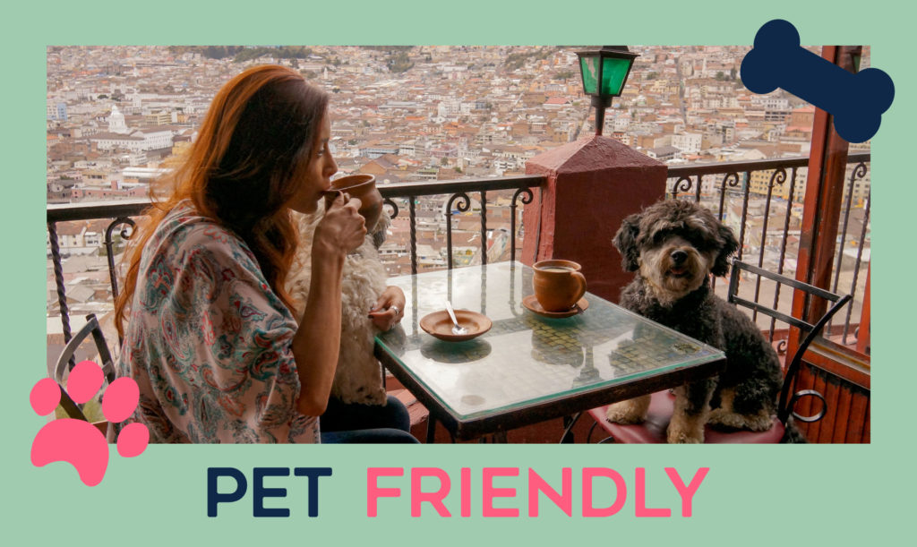 Is the Otesaga pet friendly?