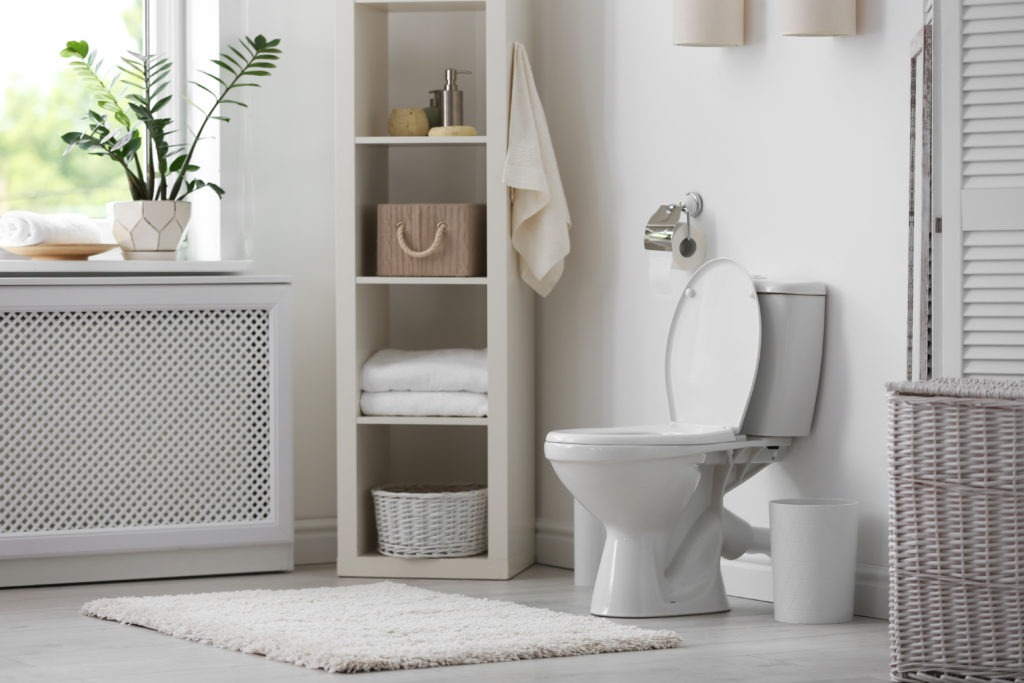 Should you put a rug in front of the toilet?