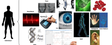 What are 3 examples of biometrics?