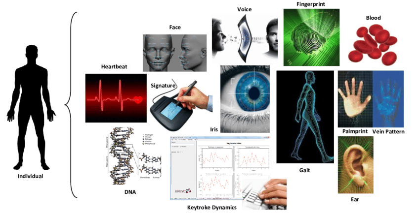 What are 3 examples of biometrics?