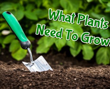 What are 5 things we need to produce a photograph?