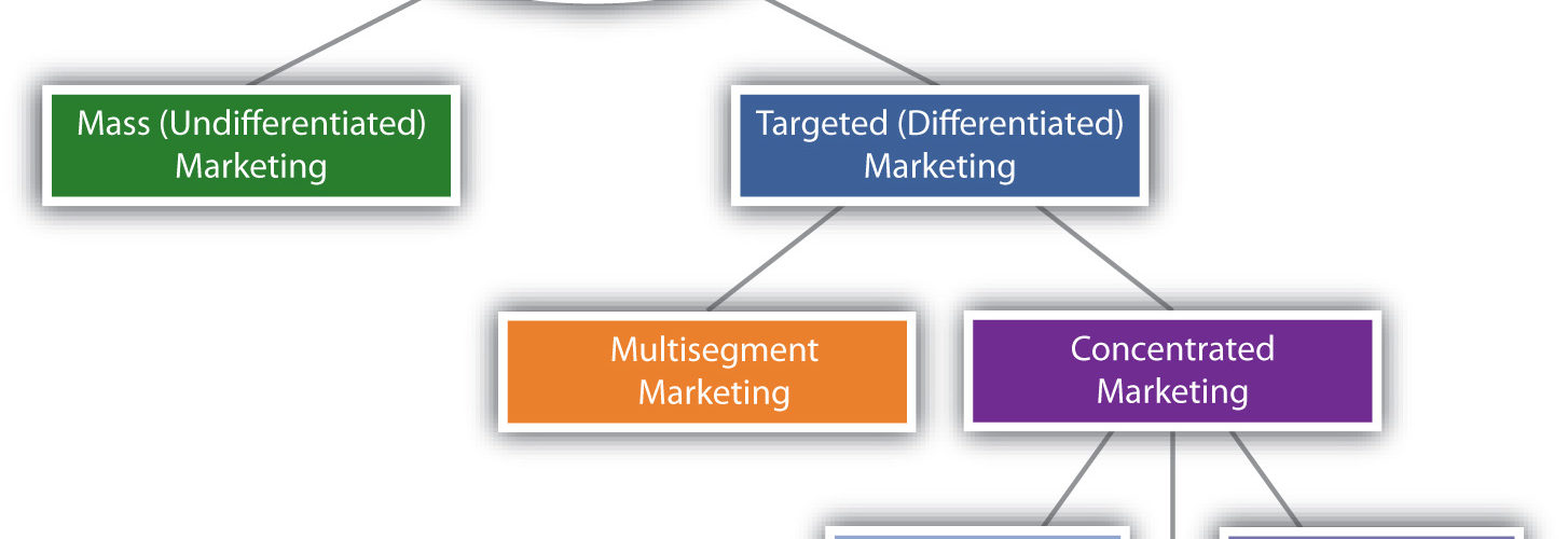 What are the 3 target market strategies?