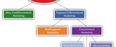 What are the 3 target market strategies?