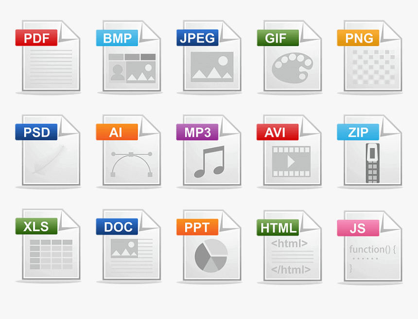 What are the 3 types of files?